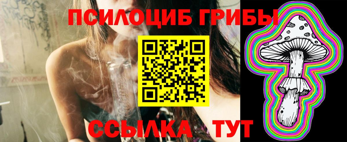 цена   Вход с VPN  Псилоцибиновые грибы GOLDEN TEACHER  Кимры  Галлюциногенные грибы MAGIC MUSHROOMS 